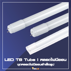 Category 2. LED T8 Tube