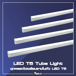 Category 3. LED T5 Tube