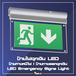 Category LED Emergency Signs Light