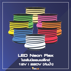 Category LED Neon Flex