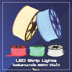 Category LED Strip Light