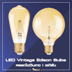 Category LED Vintage Edison Bulbs